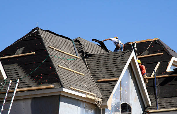 Best Gutter Installation and Roofing  in Wiggins, MS